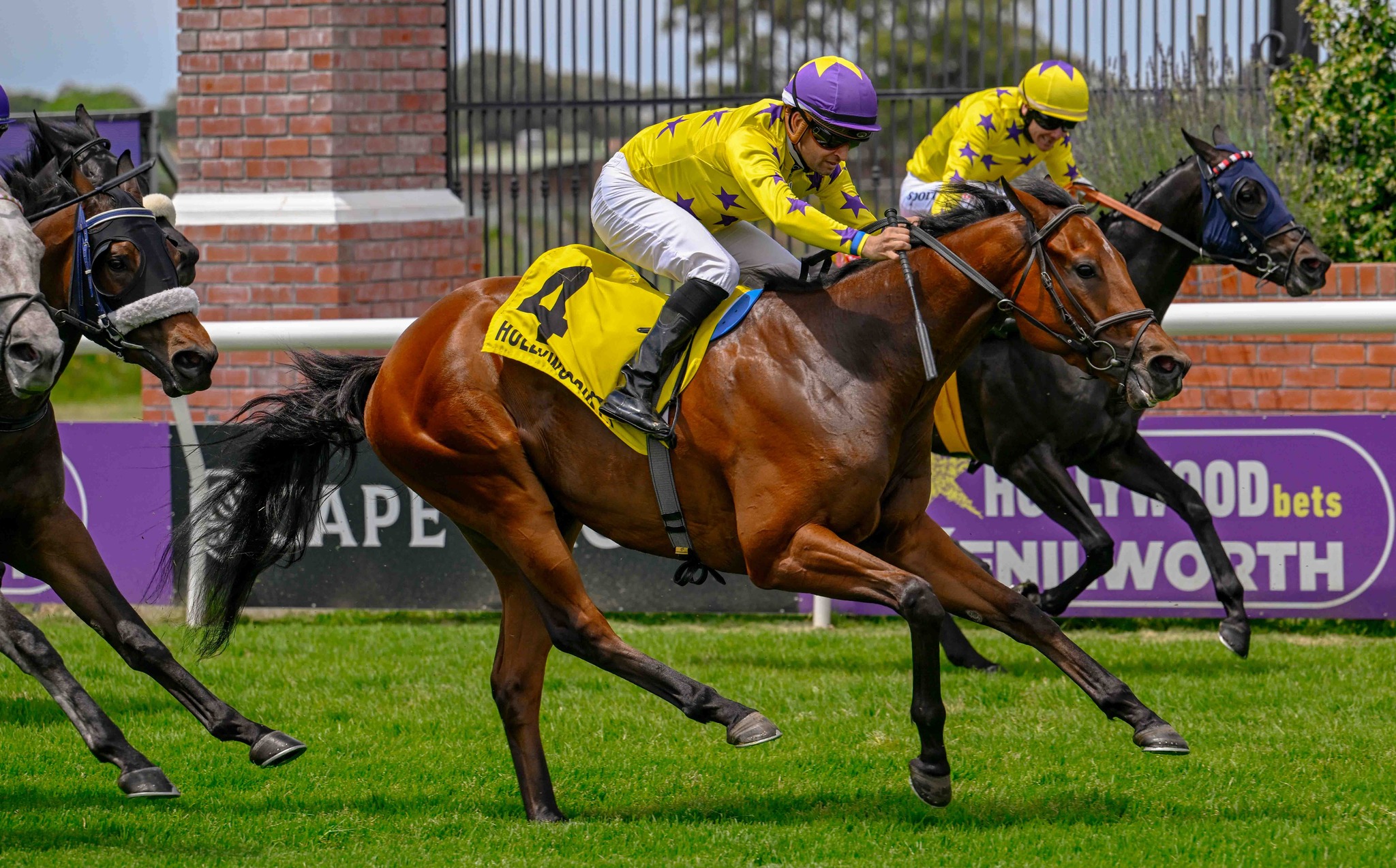 Luhamba Phambili (Corne Orffer) won at Hollywoodbets Kenilworth on 02 November(Pic - Chase Liebenberg)