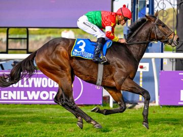 Meu Capitano won the Winter Sprint under Richard Fourie in June (Pic - Chase Liebenberg)