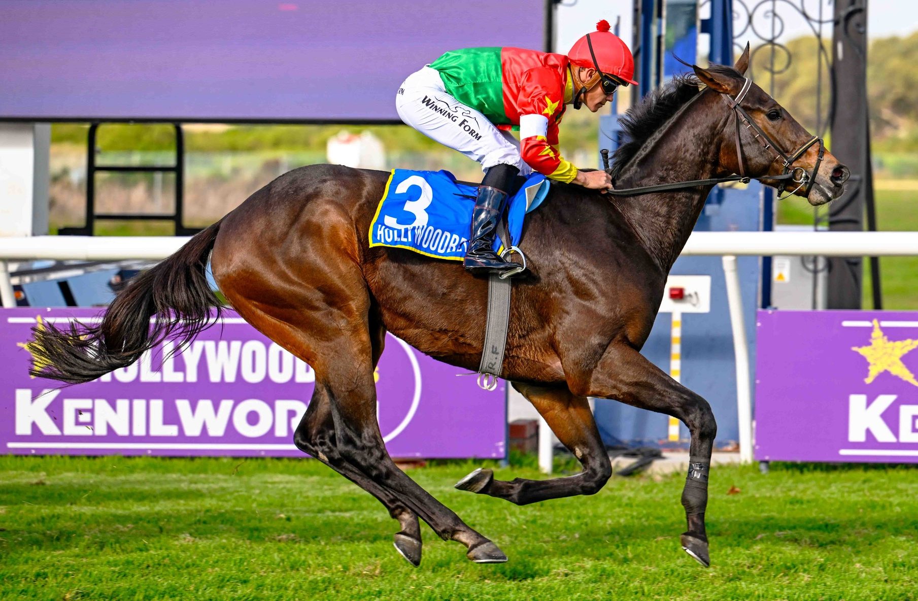 Meu Capitano won the Winter Sprint under Richard Fourie in June (Pic - Chase Liebenberg)