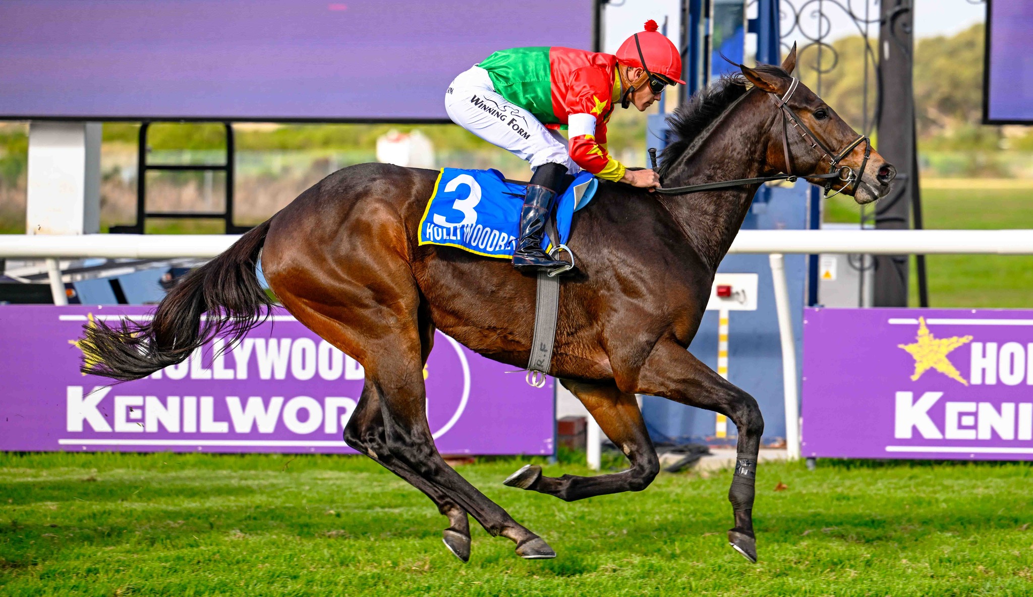 Meu Capitano won the Winter Sprint under Richard Fourie in June (Pic - Chase Liebenberg)