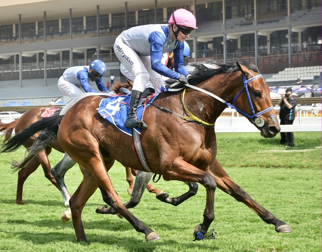 Ombudsman (Piere Strydom) wins at Turffontein in September (Pic - JC Photos)