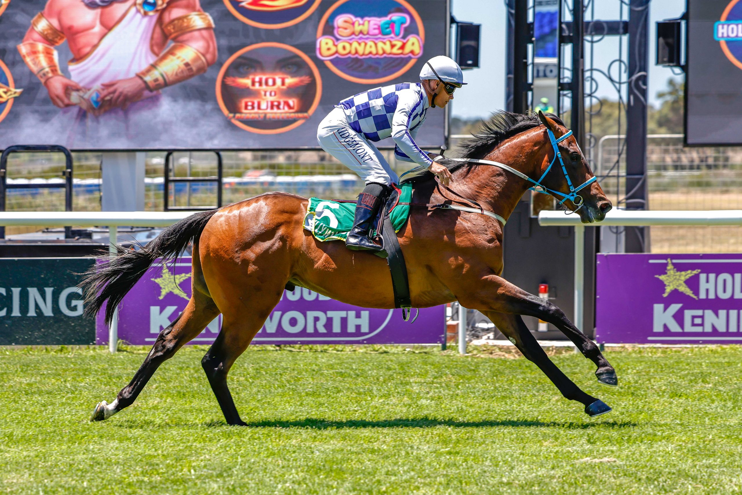 Parental Guidance registers an impressive debut win under Richard Fourie (Pic - Candiese Lenferna)