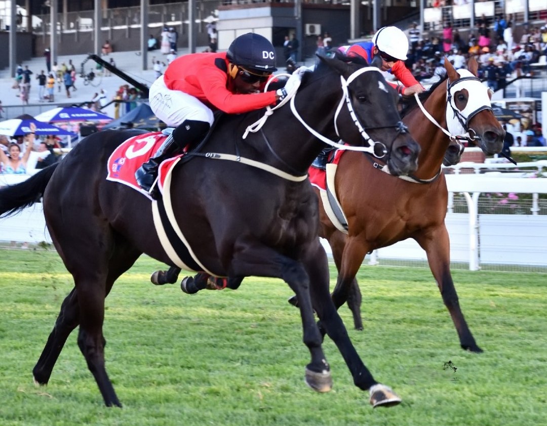 Philasande Mxoli has been engaged to take the ride on Captainofthegreen today (Pic - JC Photos)