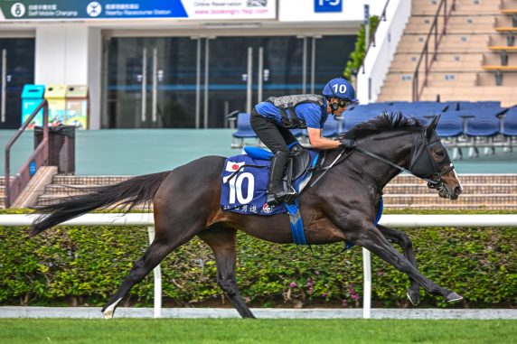 Soul Rush returns to Sha Tin in search of LONGINES Group 1 riches (Pic - HKJC)