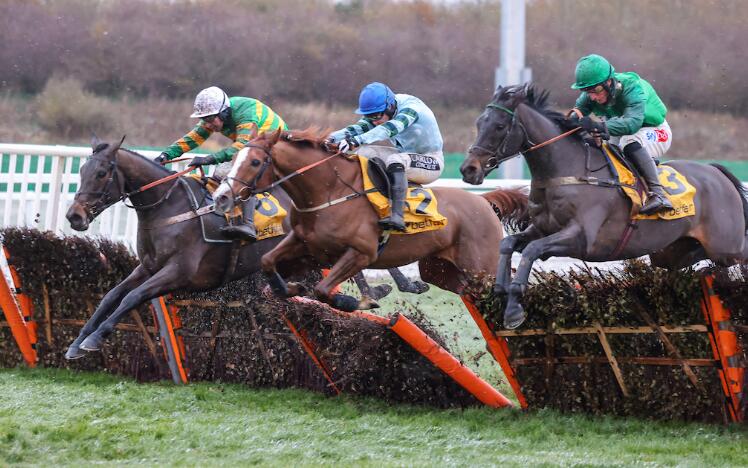 The 2024 BetMGM UK Fighting Fifth Hurdle boasted the biggest field since 2006 on Saturday (Pic - Newcastle Racecourse)