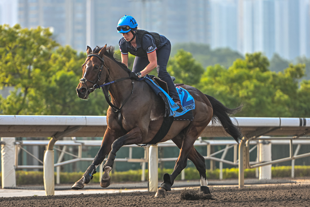 The Foxes exercises at Sha Tin (Pic - HKJC)