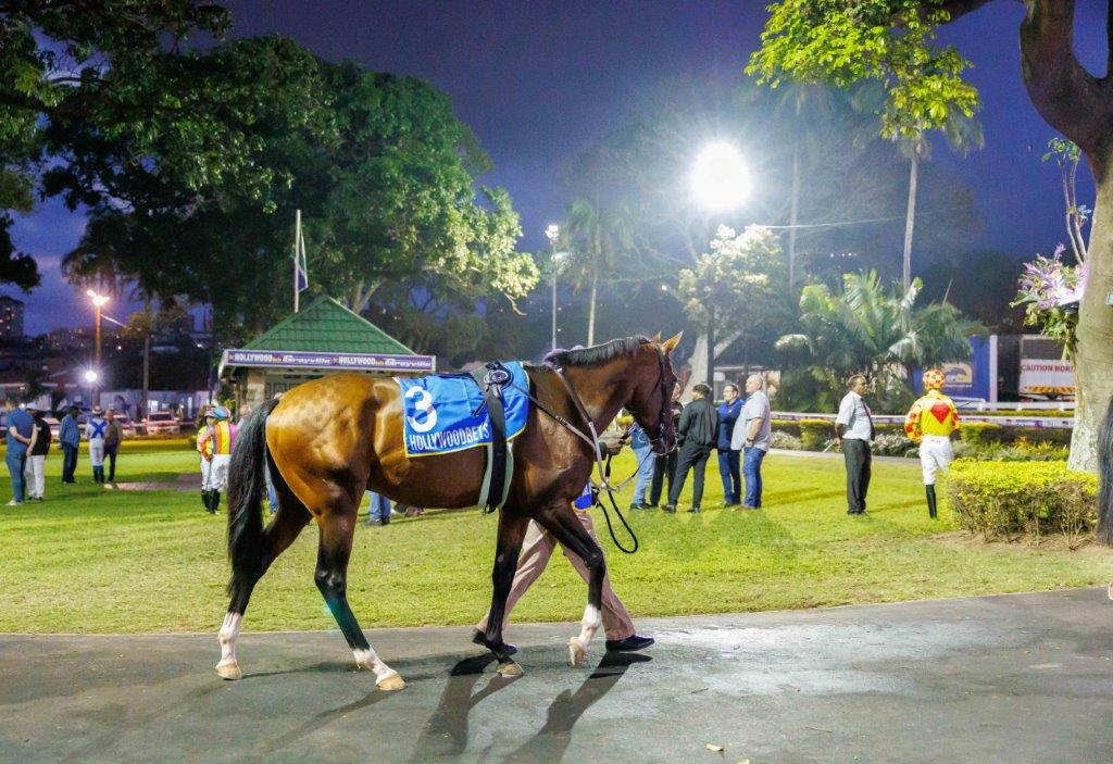 We're racing under the night lights at Hollywoodbets Greyville (Pic - Candiese Lenferna)