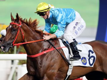 Wunderbar has built an imposing record with six wins from eight starts (Pic - HKJC)