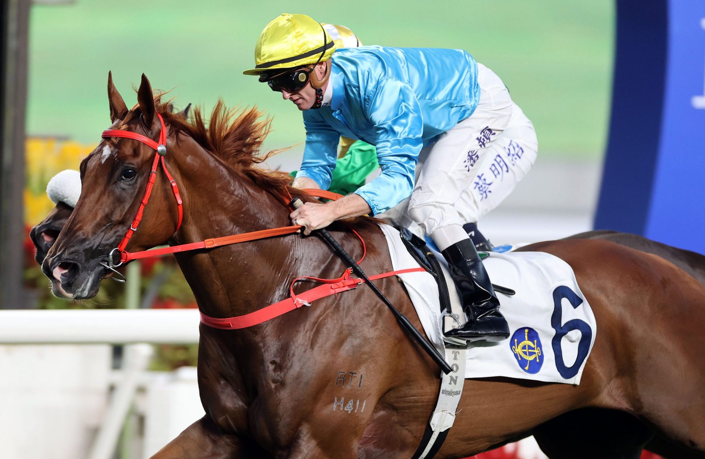 Wunderbar has built an imposing record with six wins from eight starts (Pic - HKJC)