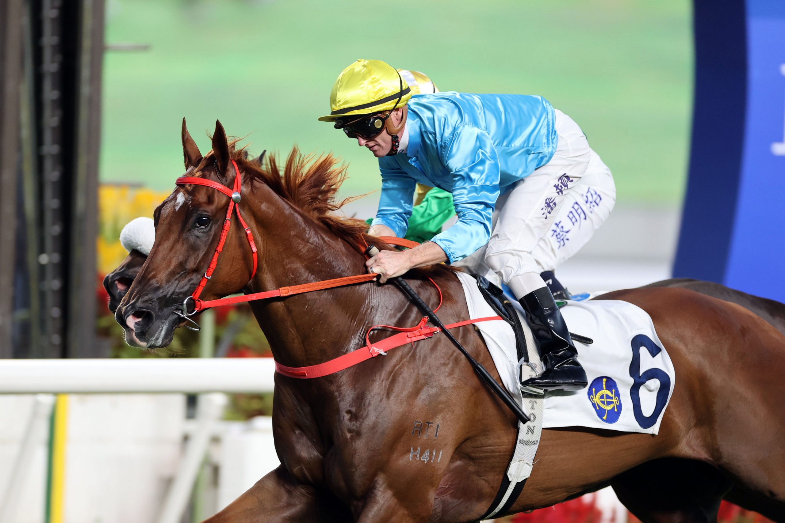 Wunderbar has built an imposing record with six wins from eight starts (Pic - HKJC)