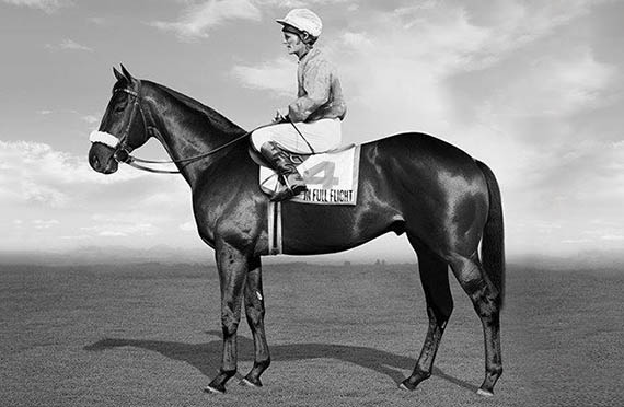 1972 Queen’s Plate star In Full Flight (Pic - Supplied)