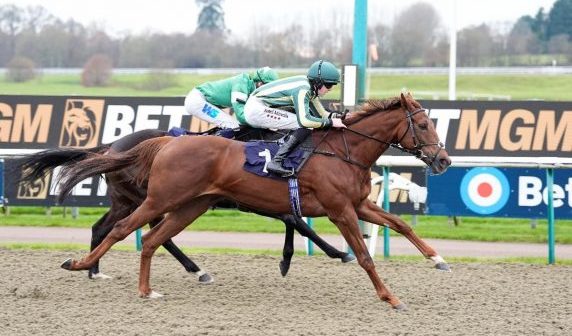 Charlotte's Web winning the BetMGM Winter Oaks Trial (Pic - John Hoy)