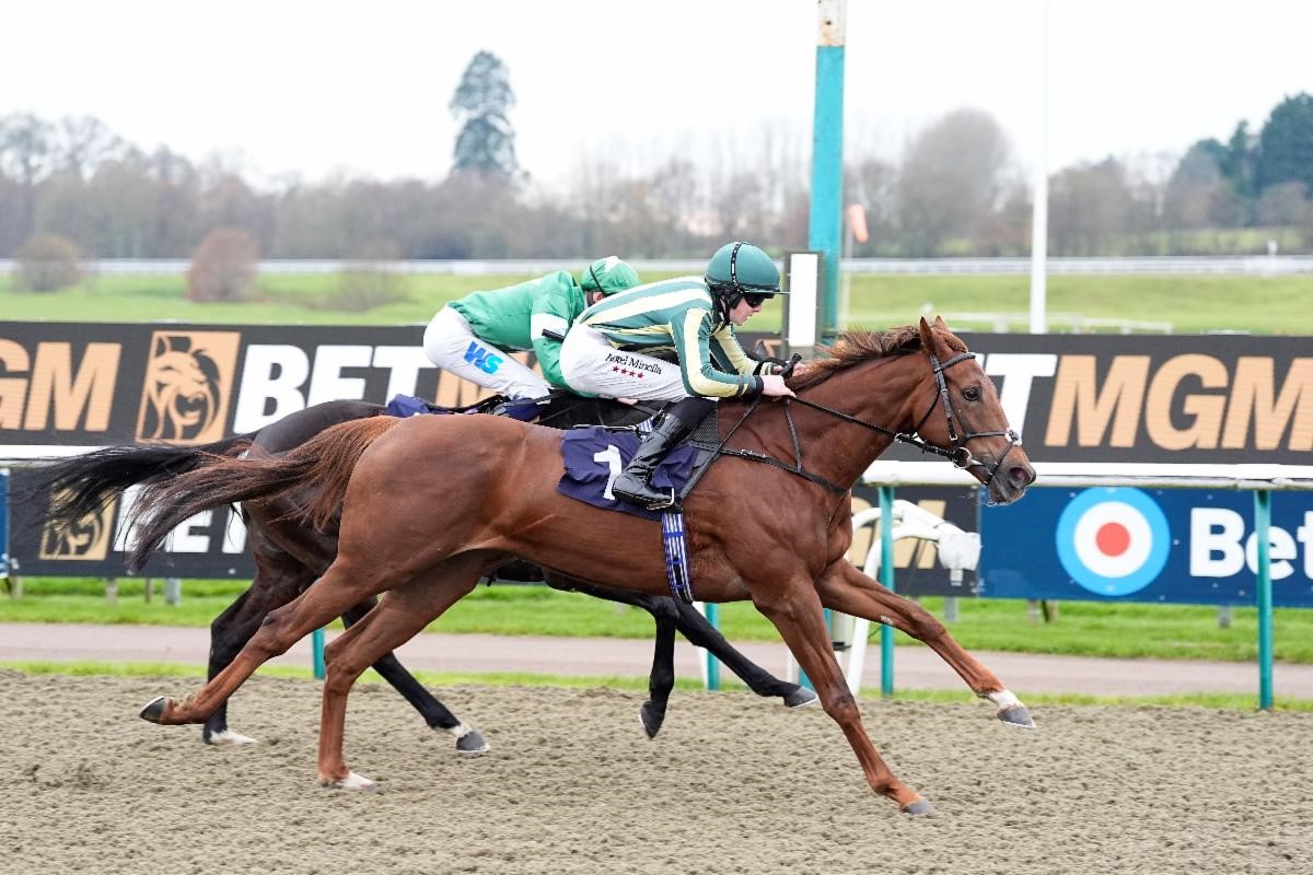 Charlotte's Web winning the BetMGM Winter Oaks Trial (Pic - John Hoy)