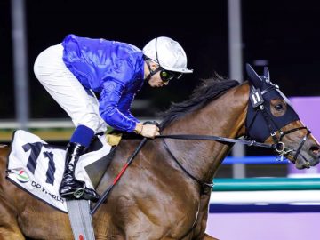 First Conquest will take on nine at Meydan today (Pic - DRC)