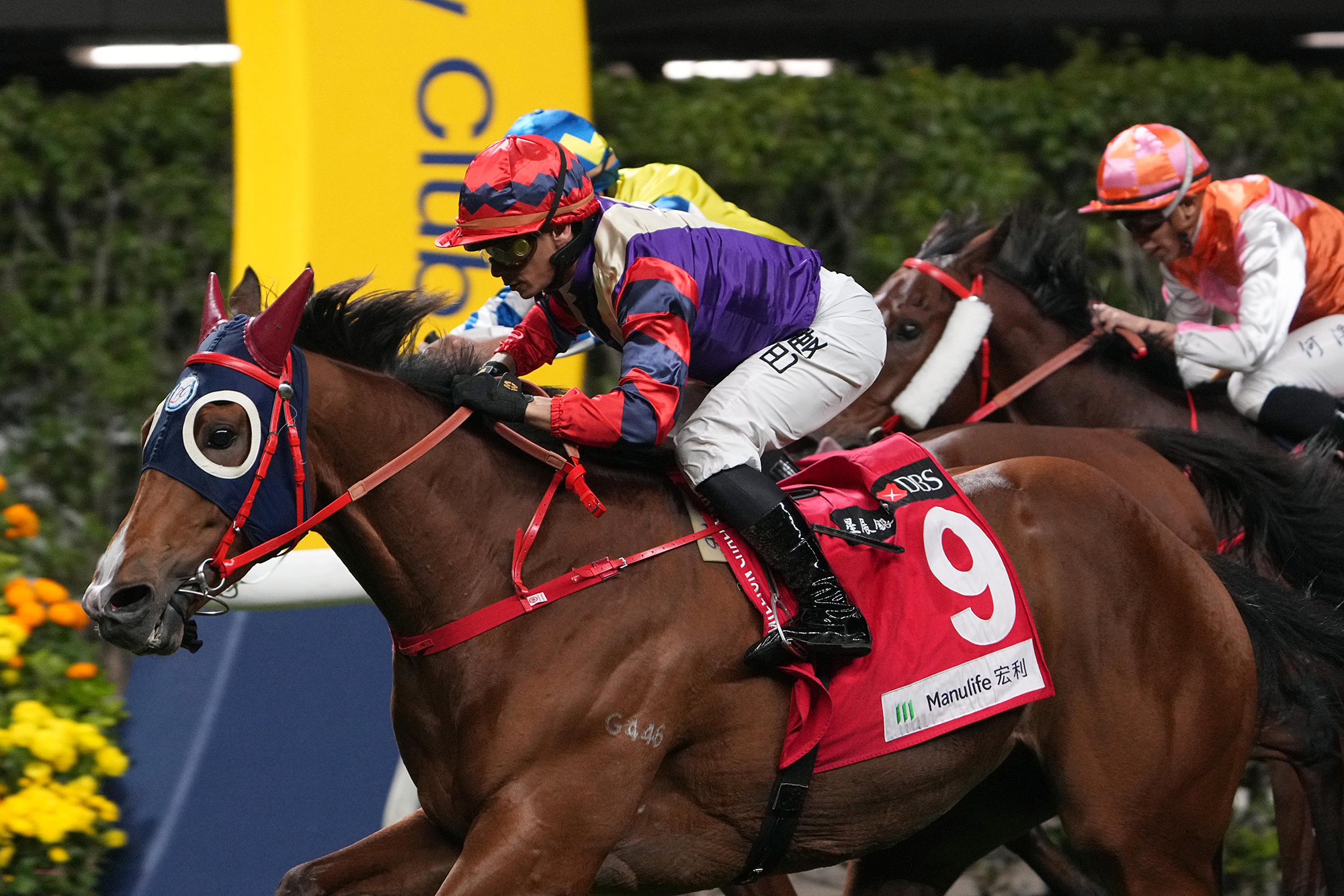 Happy Together is chasing consecutive wins in Happy Valley’s feature (Pic - HKJC)