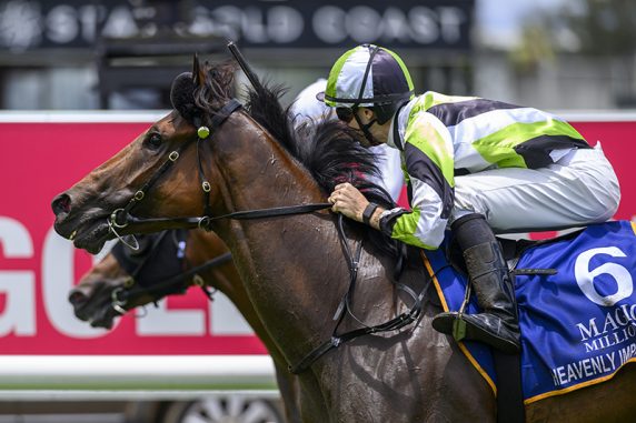 Heavenly Impact (Jason Collett) sheds his maiden tag at the Gold Coast (Pic - Magic Millions)