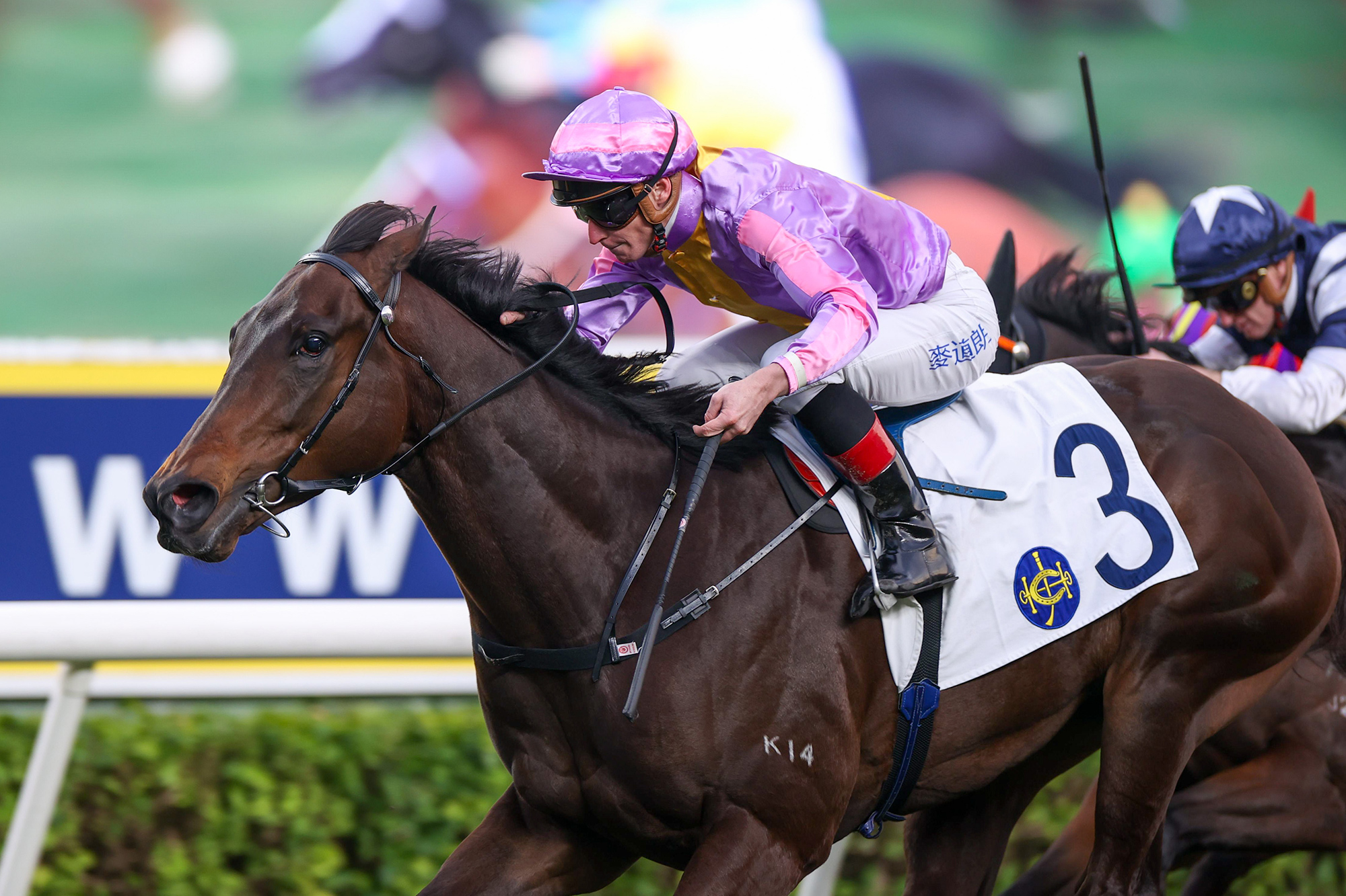 Johannes Brahms is chasing successive wins (Pic - HKJC)