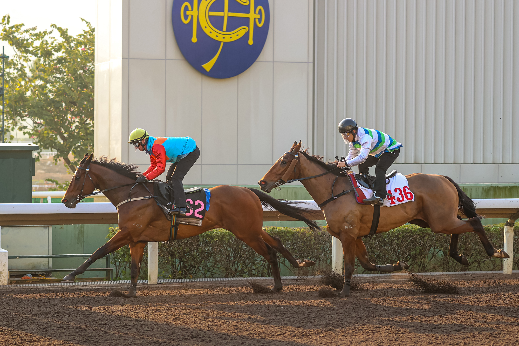 Ka Ying Rising cruises to a trial victory at Sha Tin (Pic - HKJC)