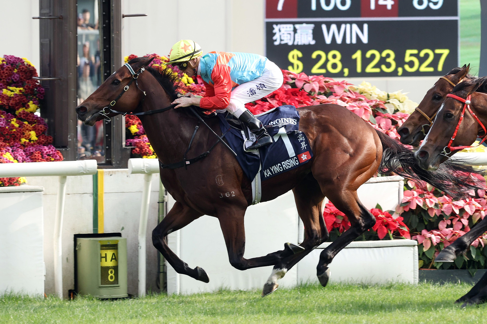 Ka Ying Rising wins the Gr1 LONGINES Hong Kong Sprint on 8 December