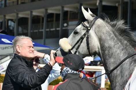 Laurence likes to have his horses close