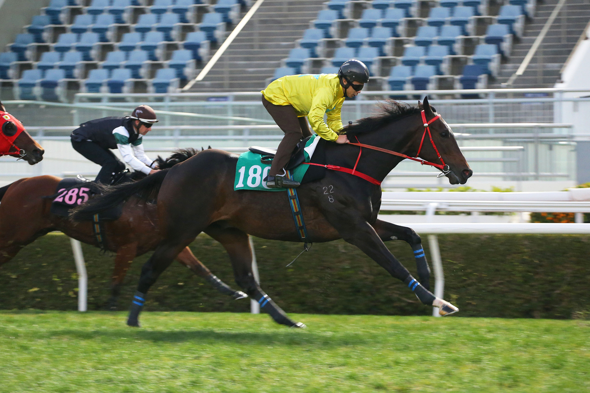 Lucky Sweynesse finished second in a 1000m trial at Sha Tin on Tuesday