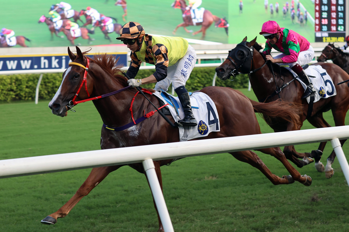 Magic Control is a two-time Sha Tin winner 