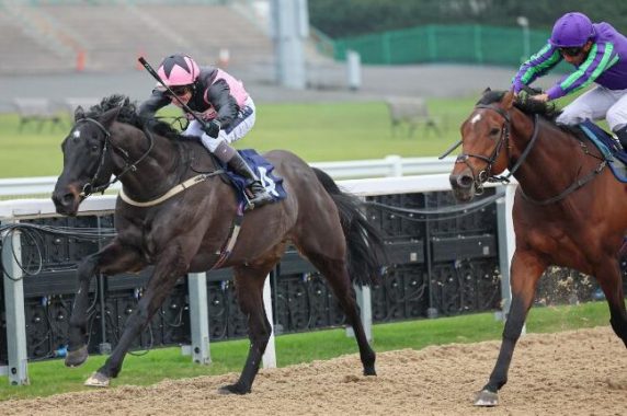 Midnight Lion bids to bring up a three-timer at Newcastle (Pic - AWC)