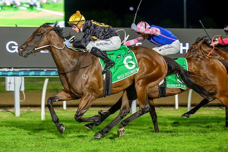 Miss Roumbini (Ethan Brown) storm home gracefully (Pic - Magic Millions)