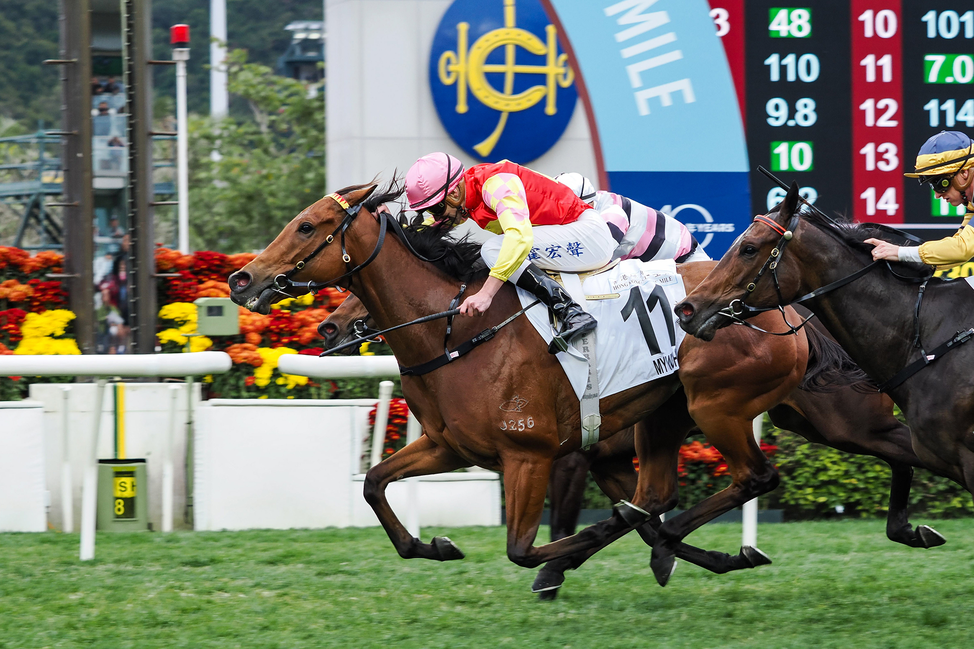 My Wish gives Luke Ferraris his most important Hong Kong win (Pic - HKJC)