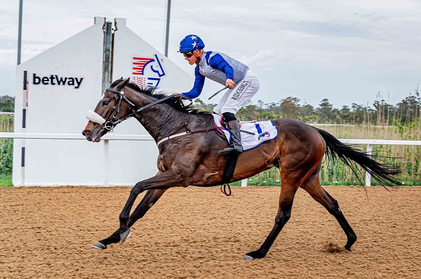 Richard Fourie takes the ride on Splicethemainbrace in today's feature race at Fairview (Pic - Pauline Herman)