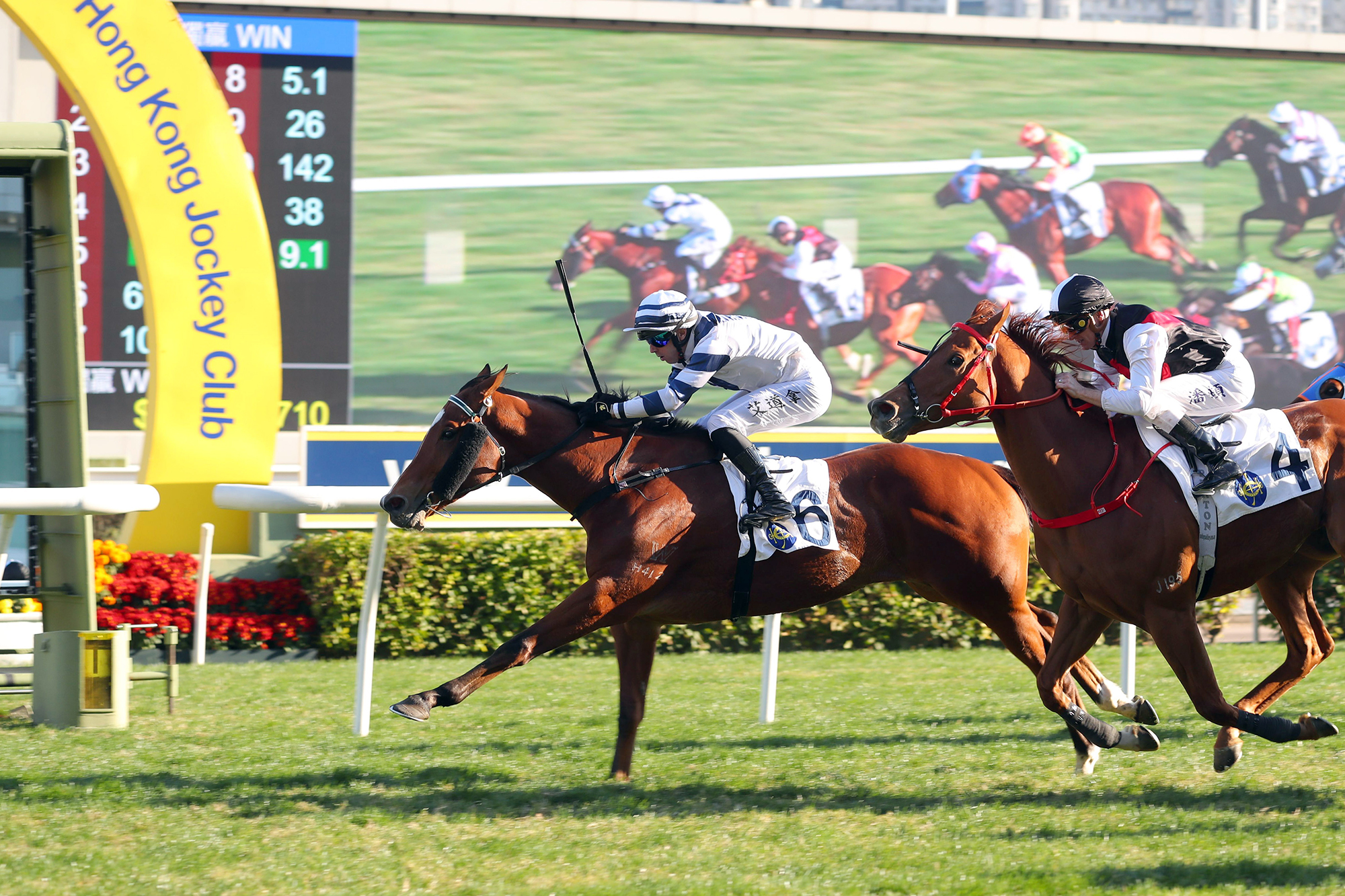 Rubylot strides clear at Sha Tin (Pic - HKJC)