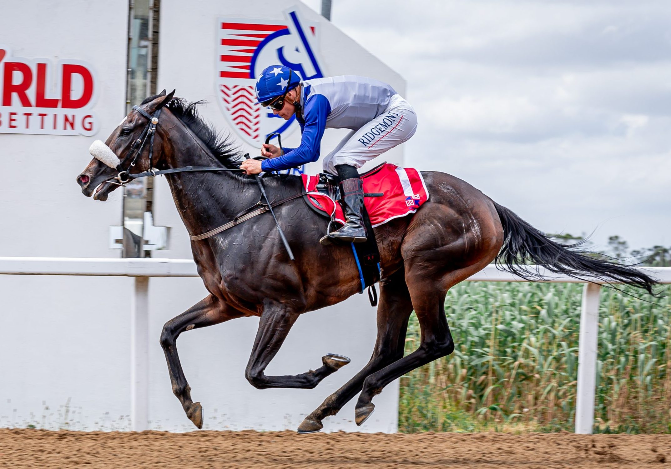 Splicethemainbrace (Richard Fourie) wins the Aloe Stakes (Pic - Pauline Herman)