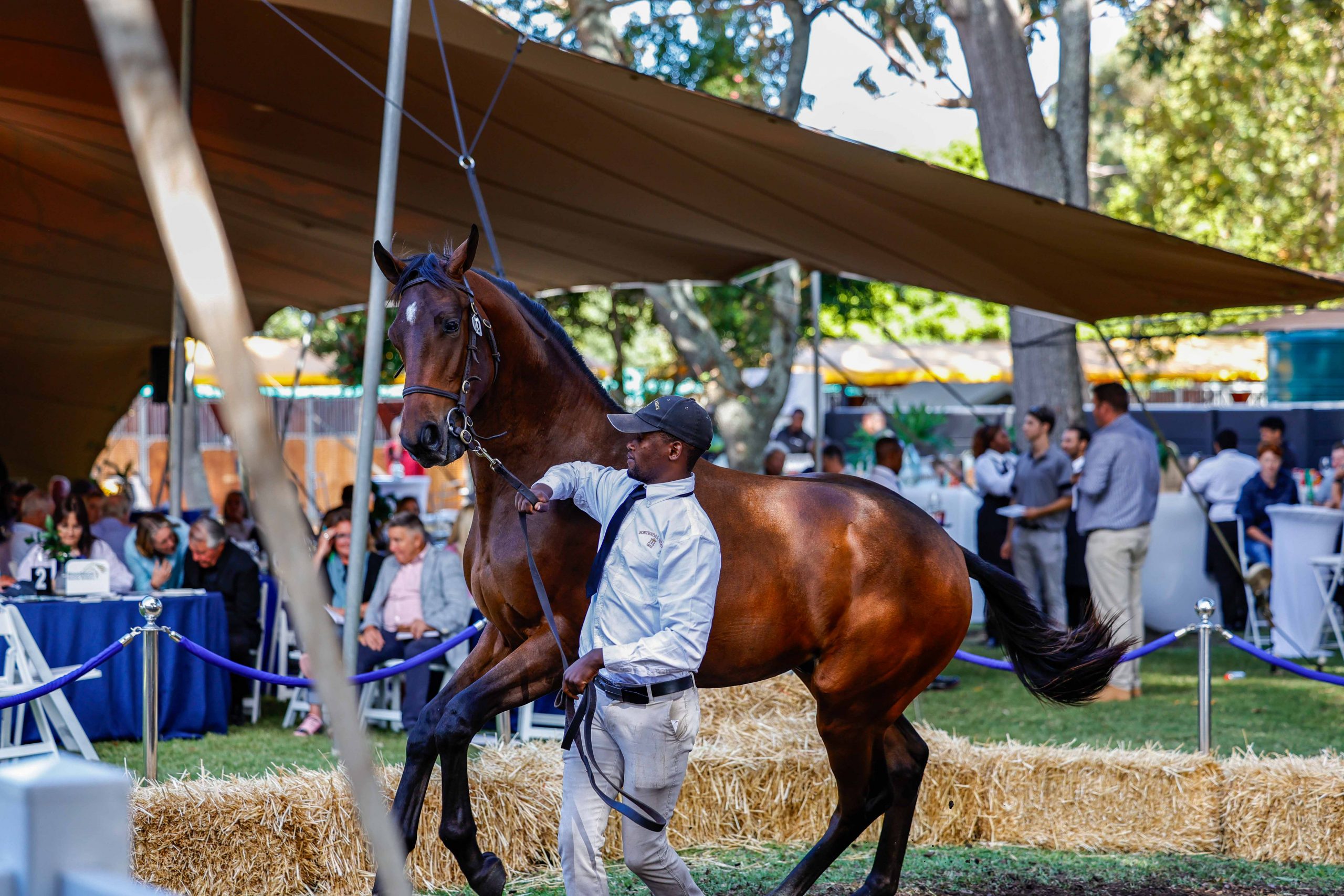 The CRS Summer Sale 2025 - Be there (Pic - Candiese Lenferna)