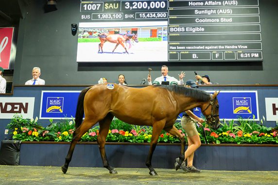 The Home Affairs filly sold for a staggering A$3.2 mil on the Gold Coast (Pic - Magic Millions)