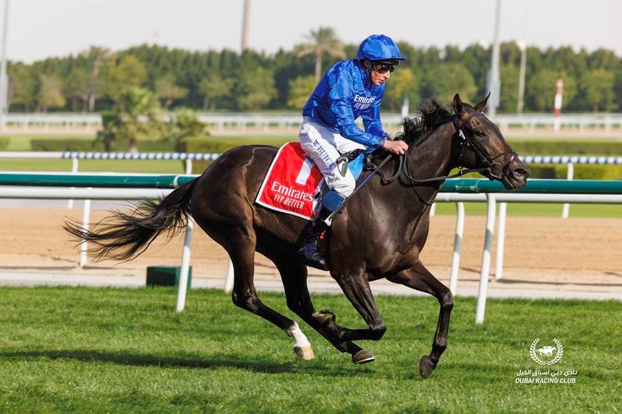 Cinderella's Dream won both her starts at Meydan last season (Pic - DRC)