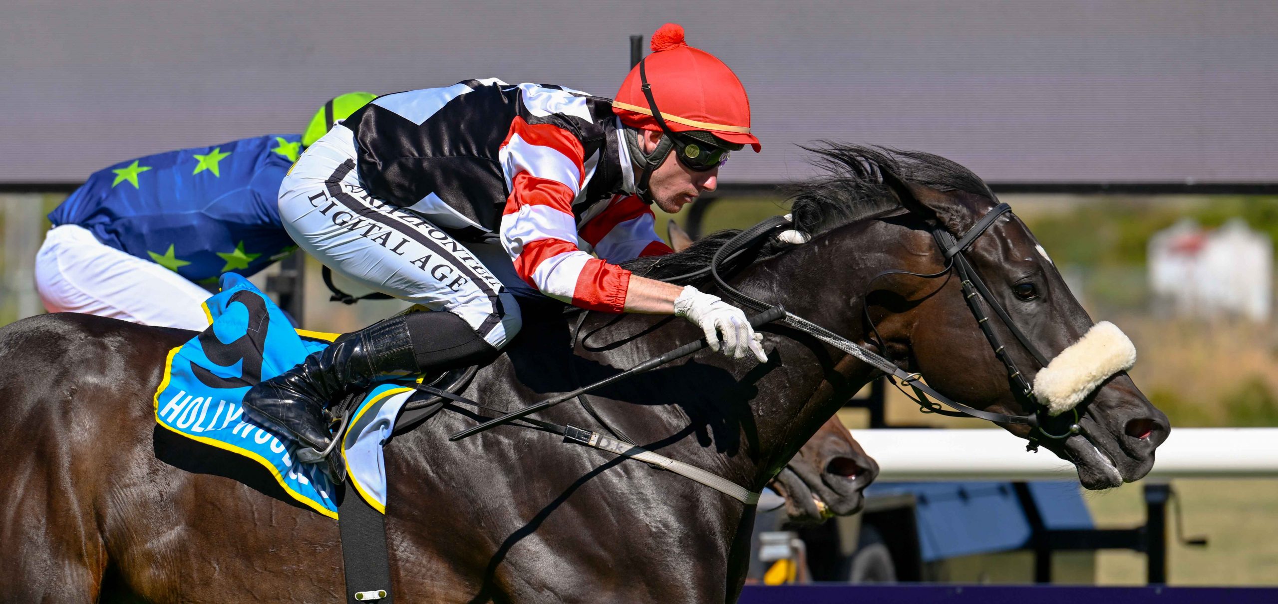 Craig Zackey celebrates a double as Golden Destiny flies late to collar the obscured Captain’s Destiny (Ossie Noach) in a thriller (Pic - Chase Liebenberg)