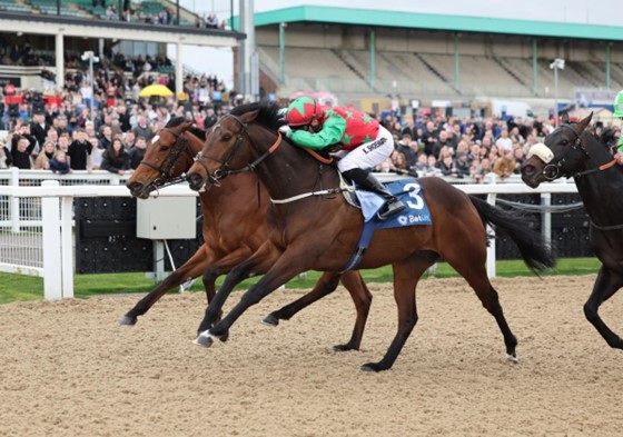 Diligent Harry winning on Finals Day in 2023 (Pic - Grossick Racing Photography)