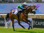 Ridgemont’s Direct Hit On Cape Derby Day