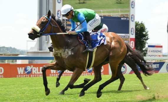 Easy Tiger roars under Richard Fourie (Pic - JC Photos)