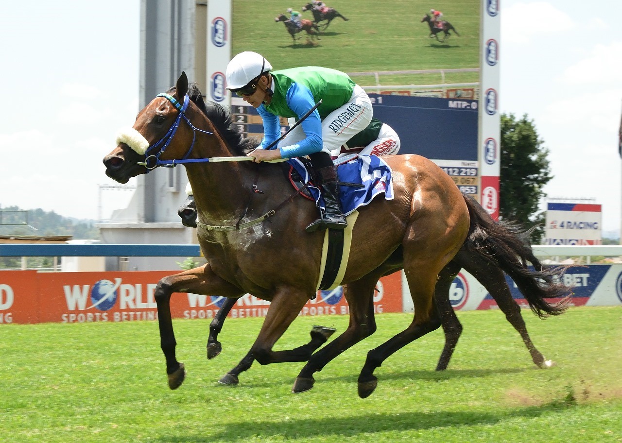 Easy Tiger roars under Richard Fourie (Pic - JC Photos)