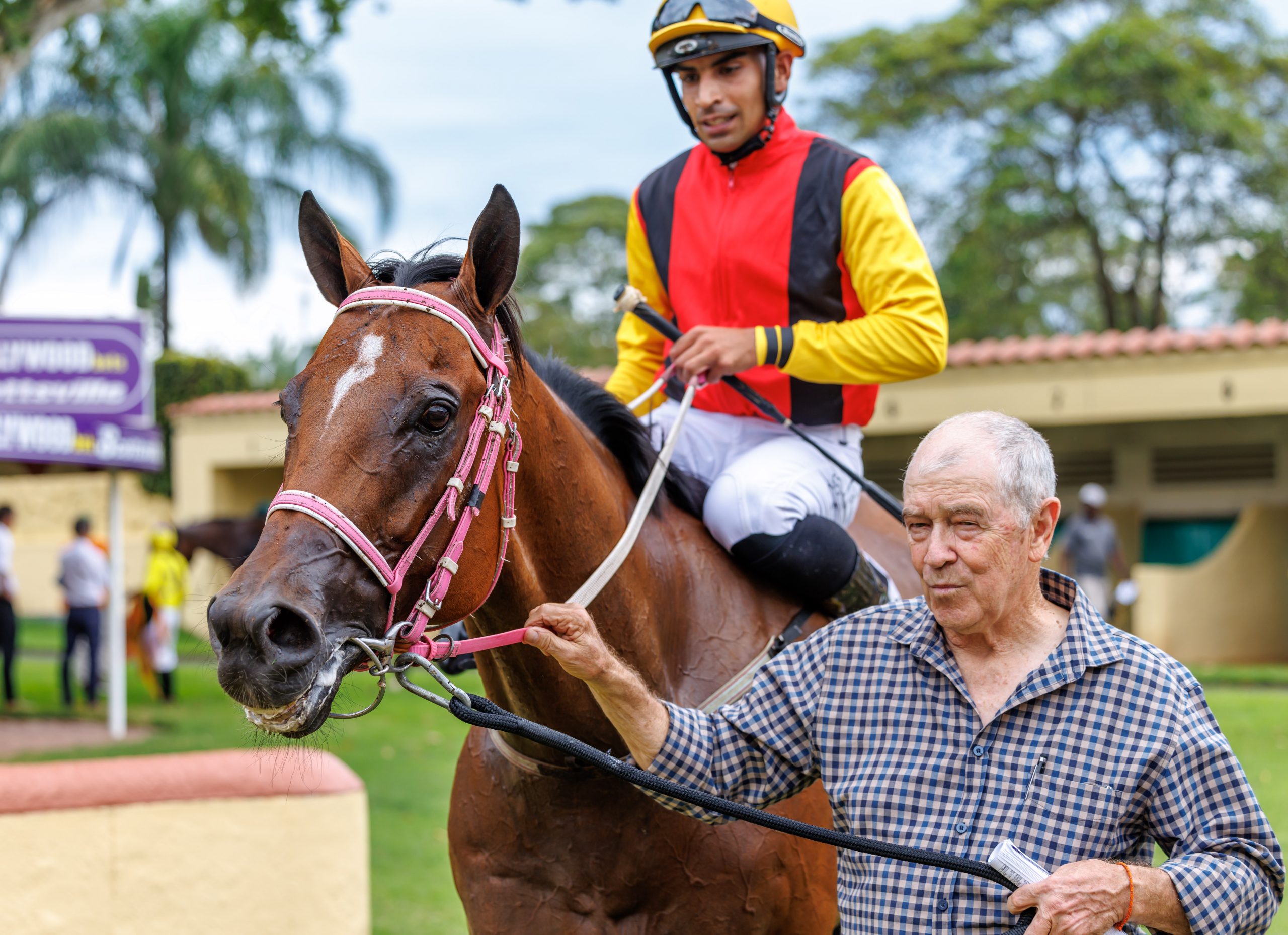 Garth Puller leads African Skyline (Serino Moodley) in after winner the Fever Tree Stakes on Sunday (Pic - Candiese Lenferna)