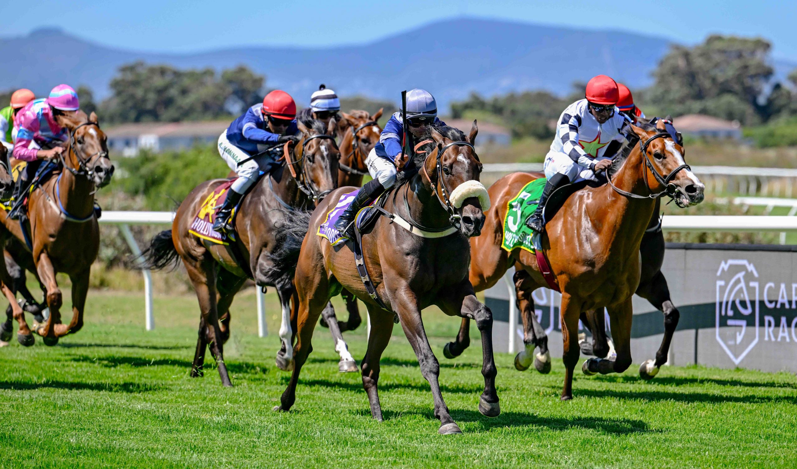 Joshwin Solomons drives Diamond Rock to a shock win as Masterofthedesert (Louis Mxothwa) chases hard (Pic - Chase Liebenberg)