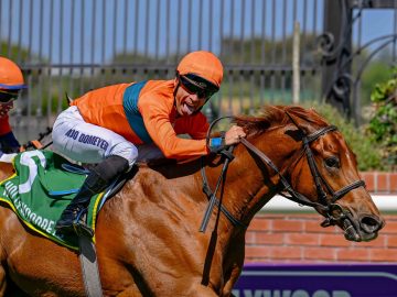 Kaiboy and Aldo Domeyer team up again today (Pic - Chase Liebenberg)