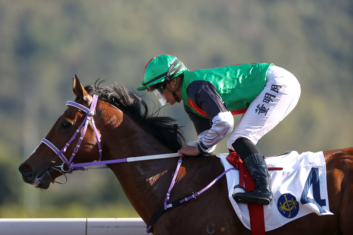 Mask Rider scores on the dirt with Keagan De Melo (Pic - HKJC)