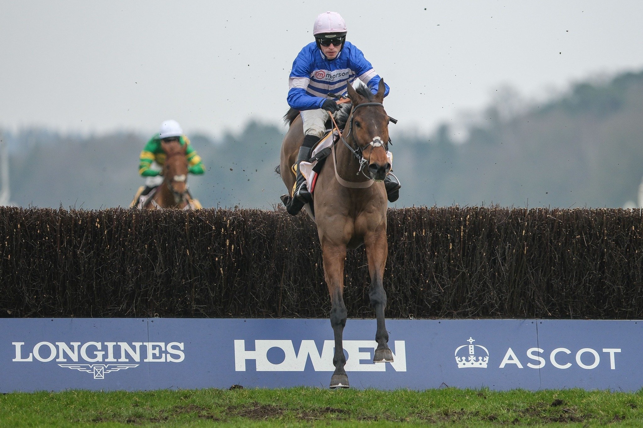 Pic D'Orhy (Harry Cobden) successfully retained his Betfair Ascot Chase title (Pic - Ascot Racecourse)