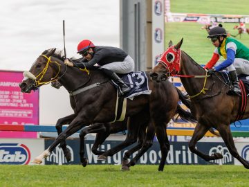 Raymond Danielson has Spumante Dolce in command as third placed Quid Pro Quo (Piere Strydom) tries hard (Pic - Candiese Lenferna)