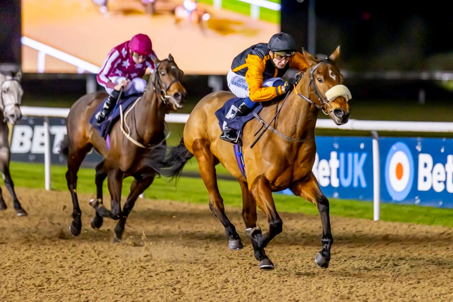 Royal Zabeel winning at Wolverhampton (Pic - Jonathan Hipkiss)