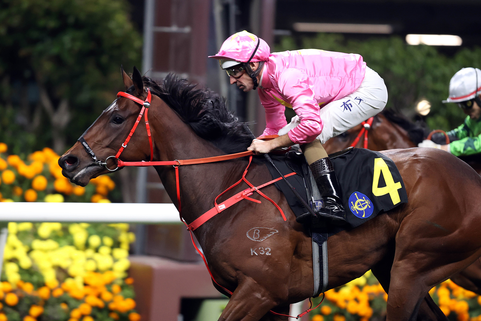 Sky Jewellery wins on debut at Happy Valley (Pic - HKJC)