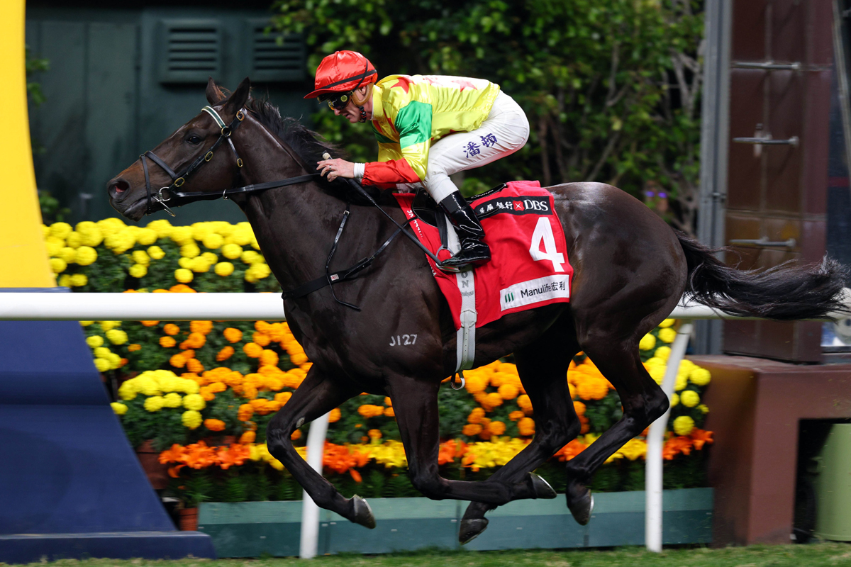 Soleil Fighter is chasing his third Happy Valley win of the season (Pic - HKJC)