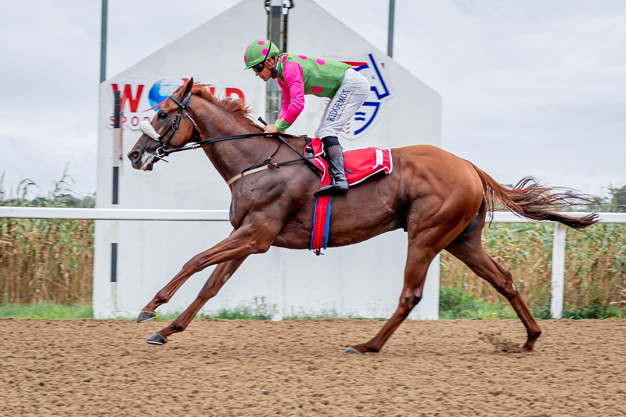 Top-rated My Best Shot (Richard Fourie) stamped his authority in style to win the Listed Ibhayi Stakes (Pic - Pauline Herman)